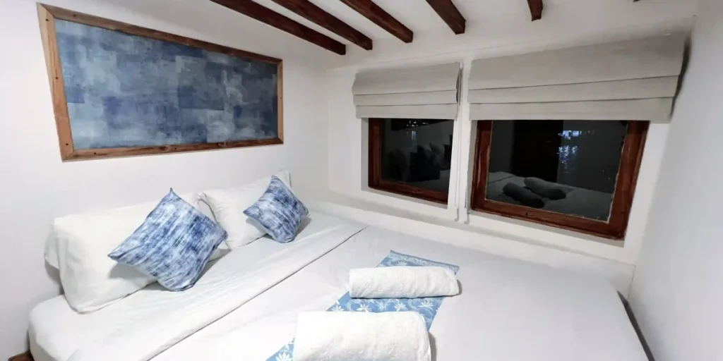 leticia-delux-drupadi-1200x600